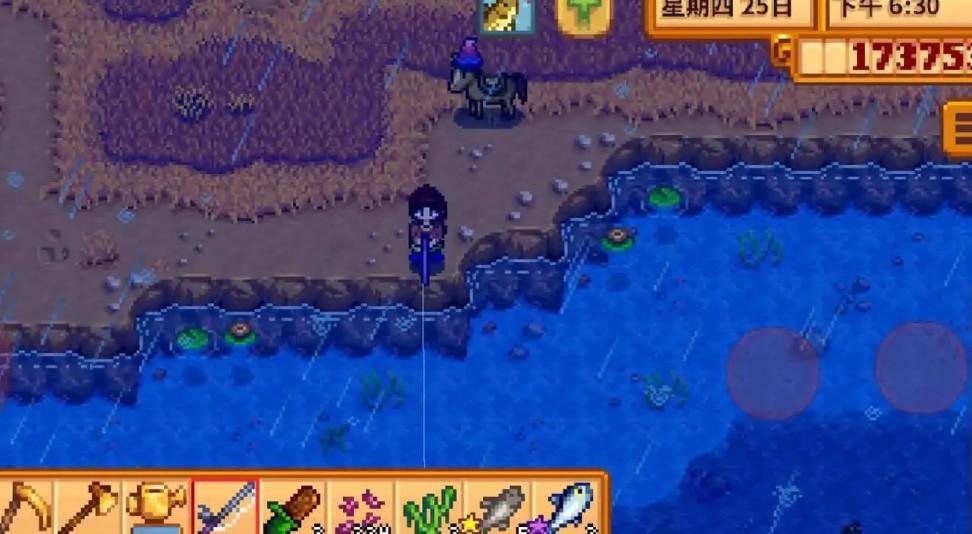星露谷物语鲶鱼要如何捕获